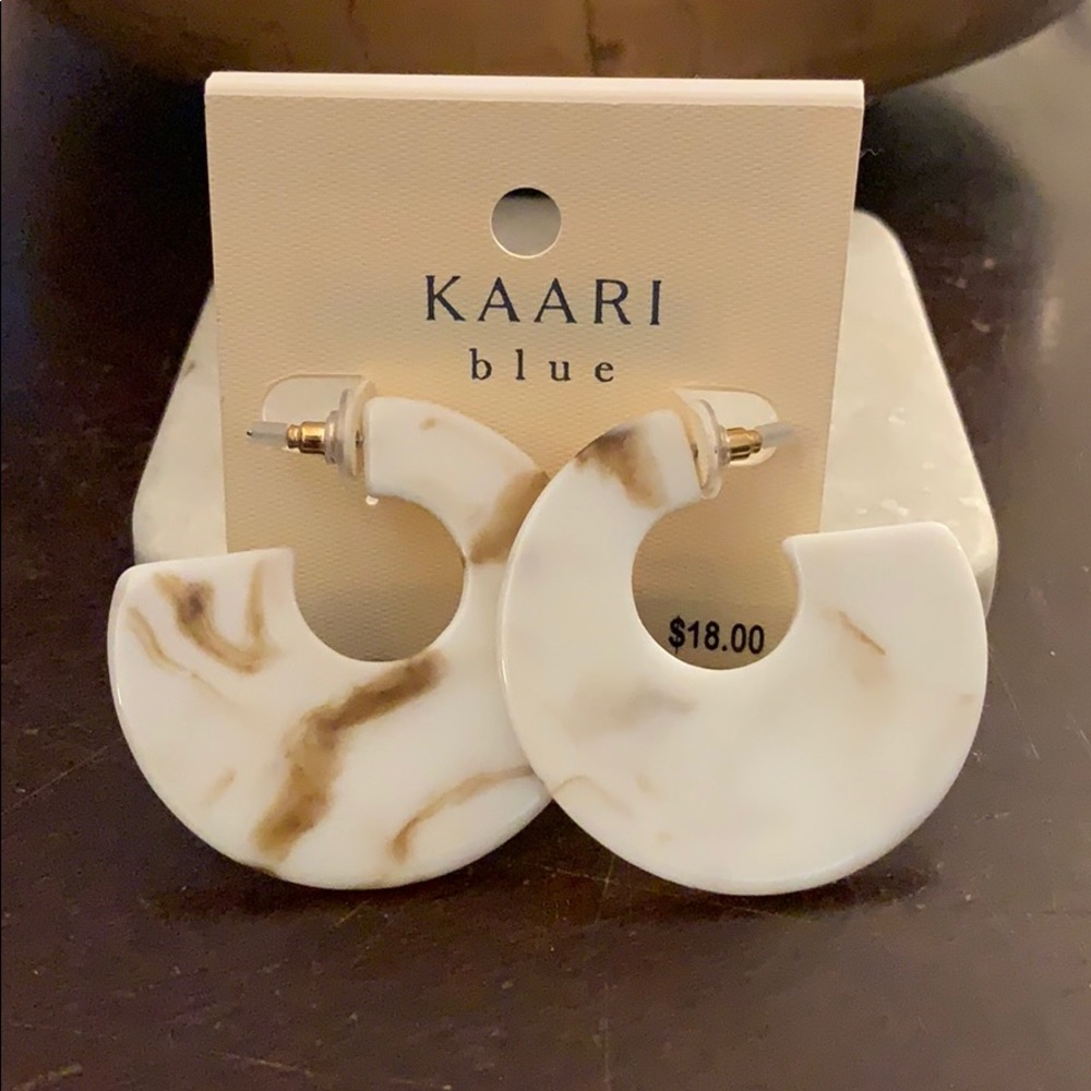 Chic Neutral Resin Earrings